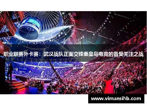 职业联赛外卡赛：武汉战队正面交锋秦皇岛电竞的备受关注之战